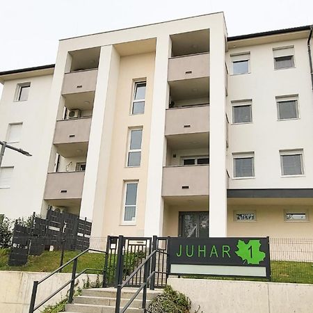 Juhar 1 Apartman Kőszeg Exterior foto